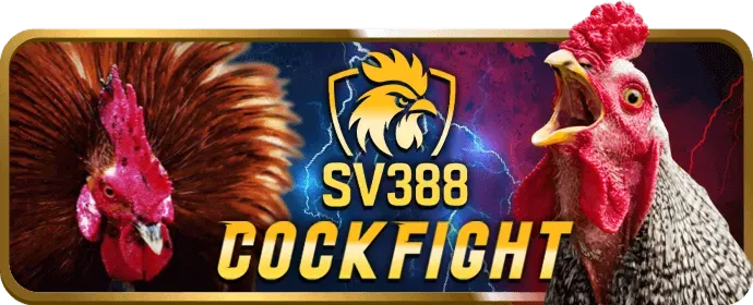 Giải thích về cookie và tầm quan trọng của chúng đối với App Quay Hũ