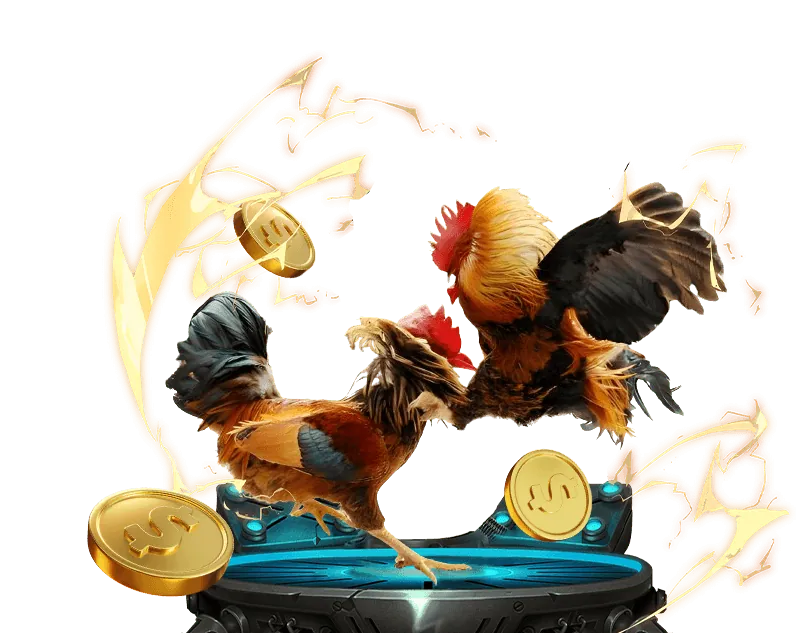 Hình ảnh minh họa khu vực Câu hỏi thường gặp win55 link